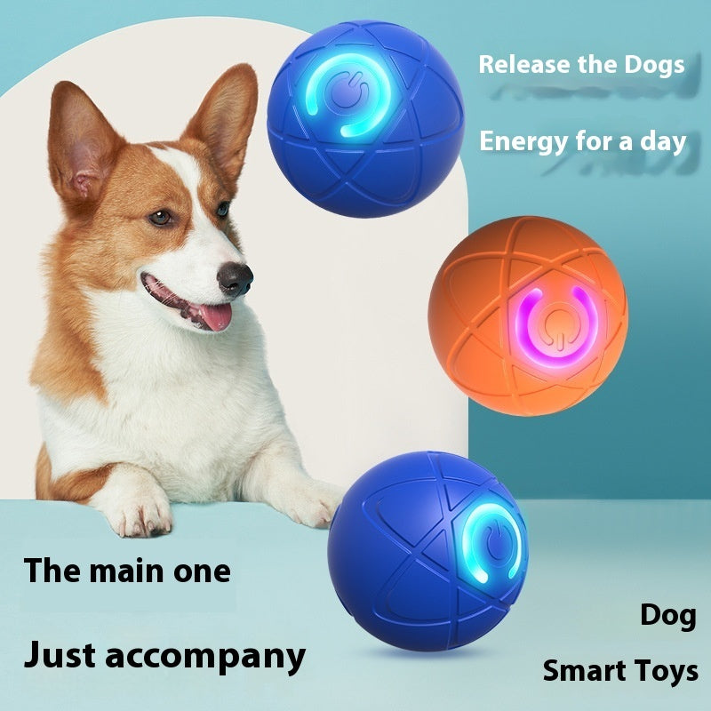 🐶Single & Dual Mode Bouncing Ball For Pets😺
